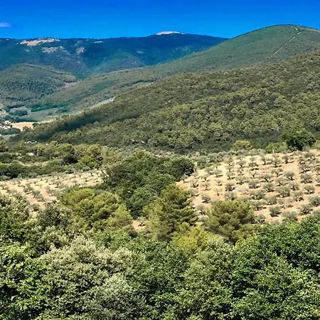 Villa Vallocchia - Sleeps 18 Exclusive Poolgrounds Spoleto 10 Mins Rome 1 Hr